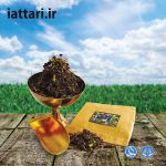 گل بنفشه
