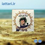 کرم زالو حلزون نفیس (شوزا)