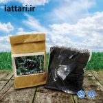 تخم شربتی