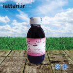 ذریه طیبه