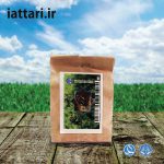 تخم کرفس