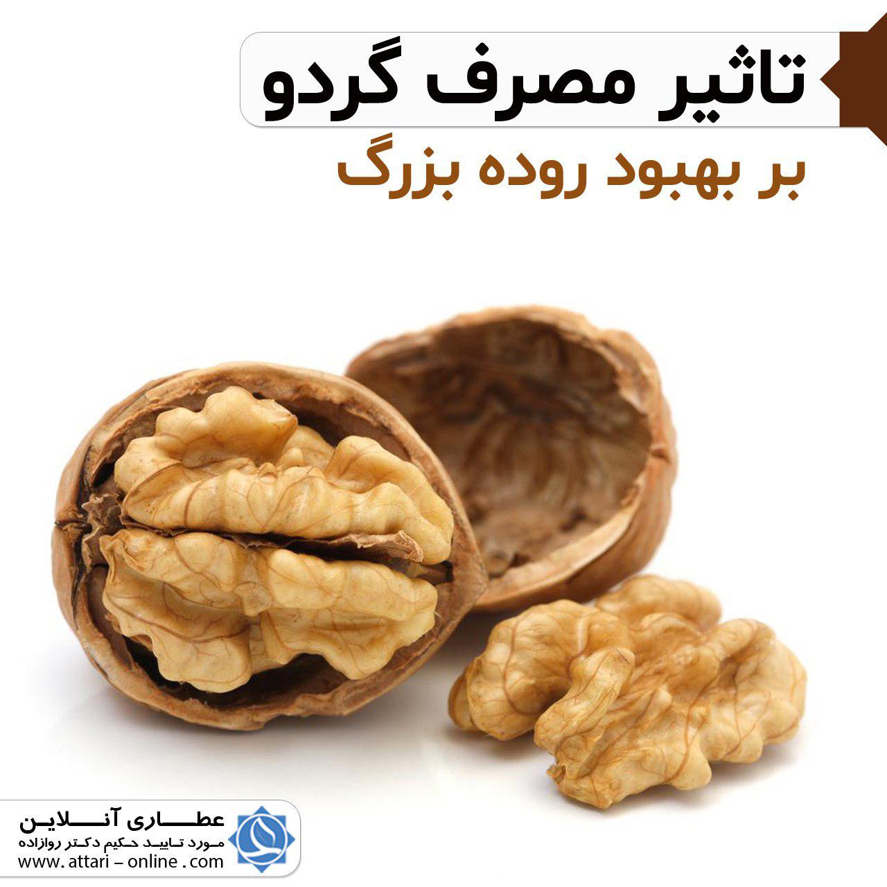 تاثیر مصرف گردو بر بهبود روده بزرگ 1 photo 2018 11 12 16 09 16 تاثیر مصرف گردو بر بهبود روده بزرگ