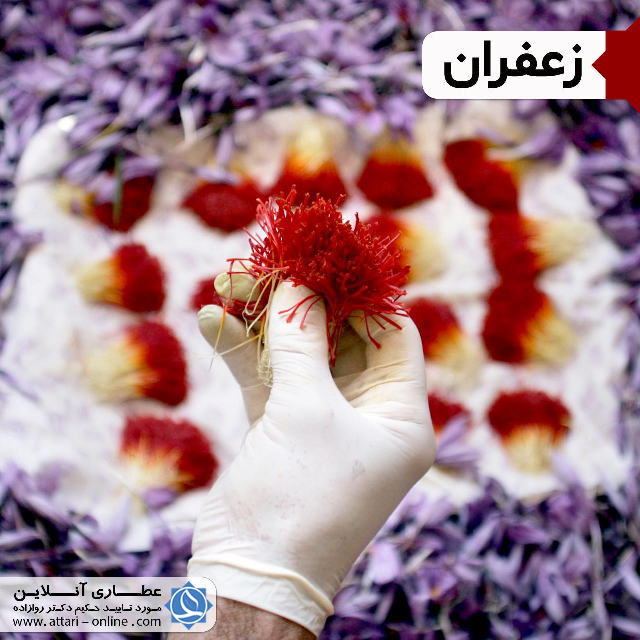 زعفران ارزشمندترین ادویه جهان 1 زعفران ک 1 زعفران ارزشمندترین ادویه جهان