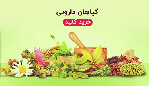 صفحه اصلی 18 02 صفحه اصلی